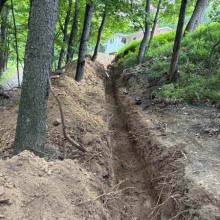 Trench running downhill through trees